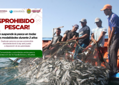 Aplican veda de dos años en río Nautla-Bobos para proteger ecosistema