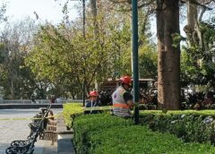 Cierran áreas de parques en Xalapa como medida preventiva por vientos