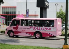 Transporte gratuito “La Gallina” suma miles de usuarios en Orizaba