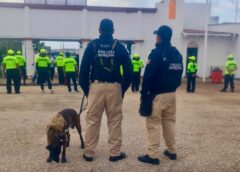 Operativo K9 deja decomisos en la Expo Feria de Coatzacoalcos