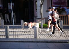 Xalapa se mueve con su tercera Ruta Recreativa